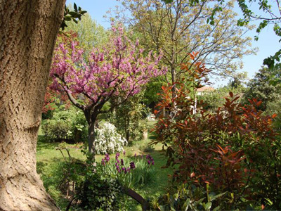 JARDIN DU MAS FERRAND