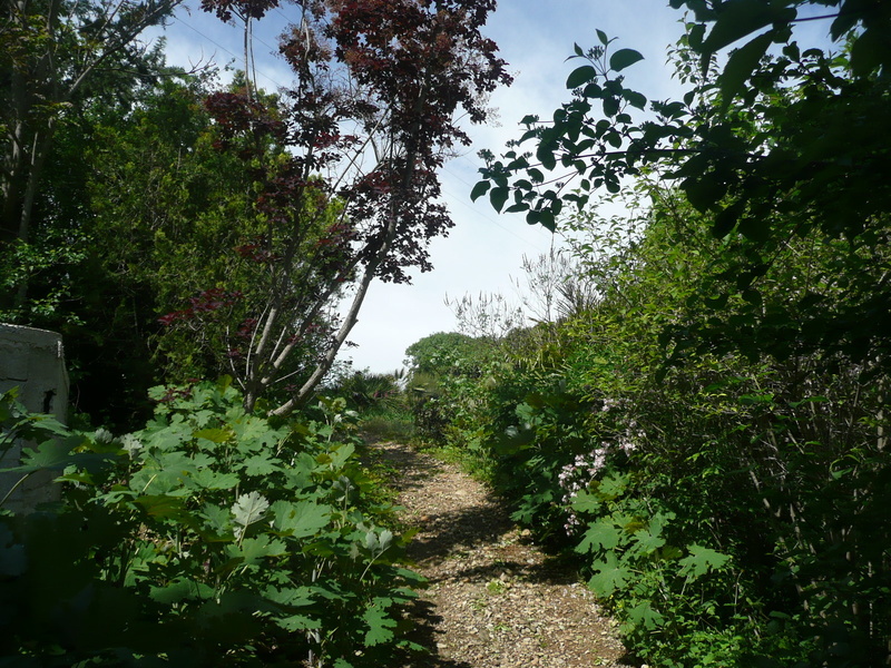 Jardin botanique de la Font de Bezombes