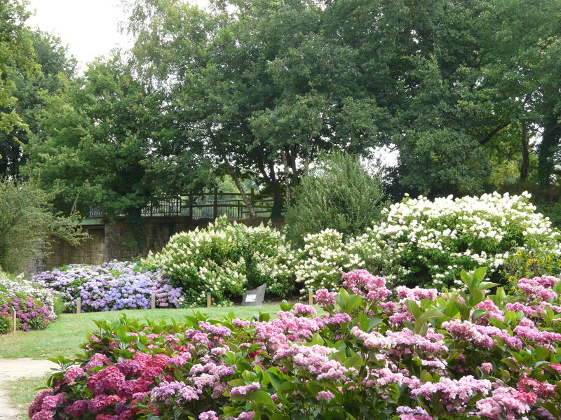 CIRCUIT DES HORTENSIAS