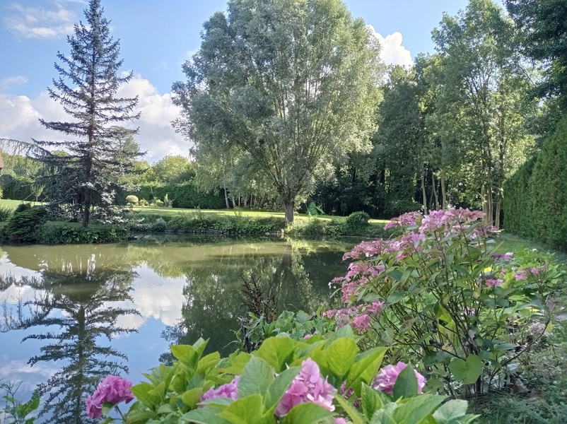 Le jardin au-delà de l'eau