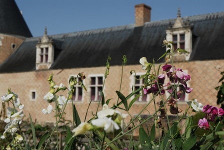 Jardin Renaissance du Château de Chamerolles