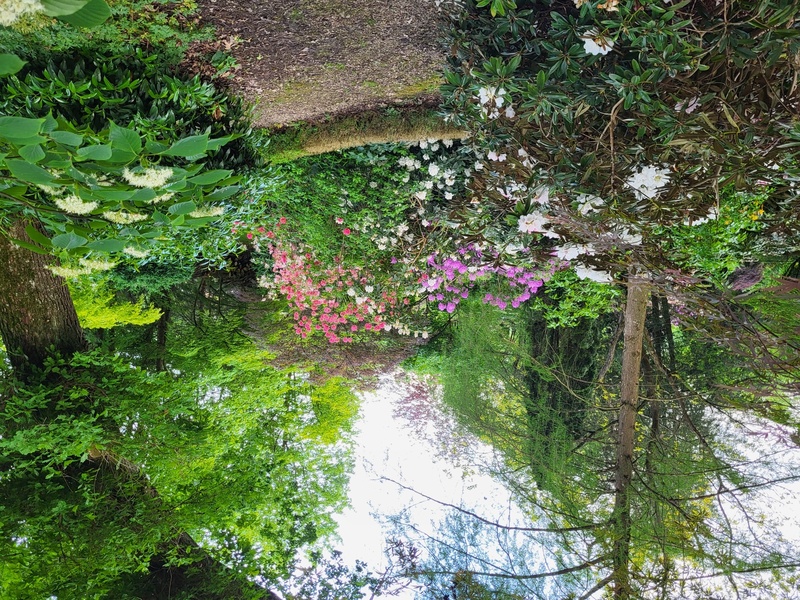 LE JARDIN DES SONGES