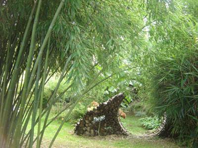 JARDIN DU CLOS DE SAINT SATURNIN