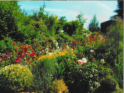 JARDIN DE LUSSEAU