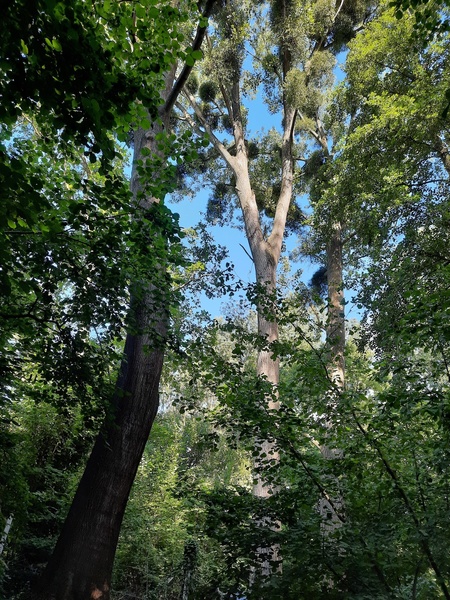 Le jardin au-delà de l'eau