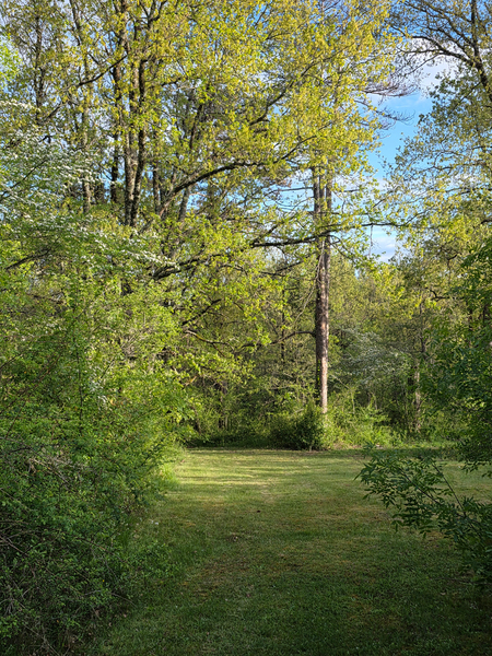 Parc du Château de Pourpry