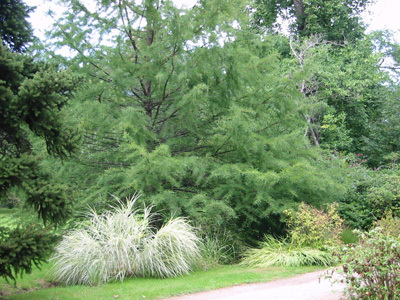 ARBORETUM DE BALAINE
