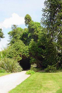 PARC DU CHÂTEAU DE LANNIRON