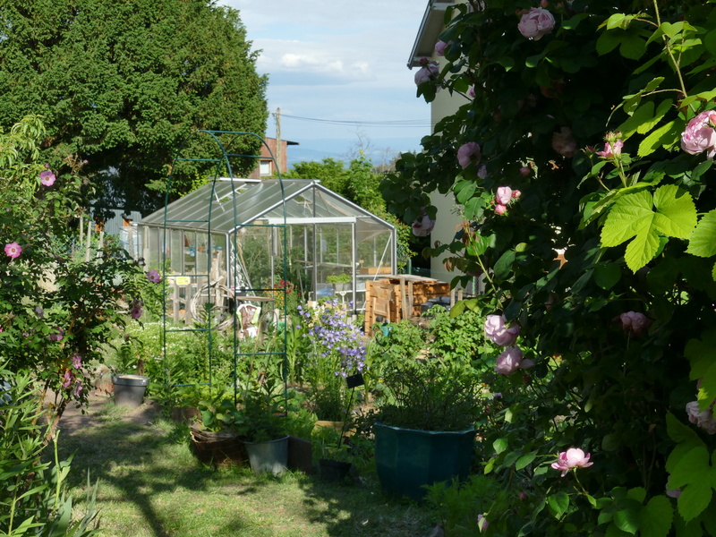 JARDIN DE LA VILLA ROSA