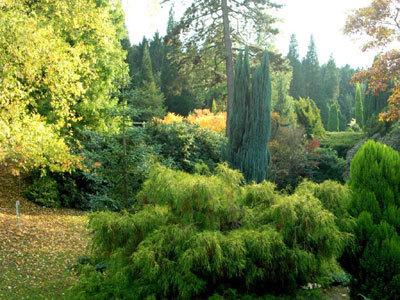 PARC ARBORETUM DU MANOIR AUX LOUPS