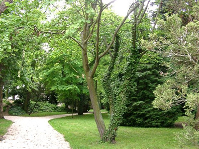 JARDIN DE L'ARQUEBUSE