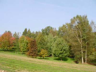 ARBORETUM DE BOISCORDE