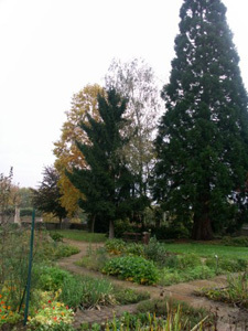 JARDIN DES CHEVANNES