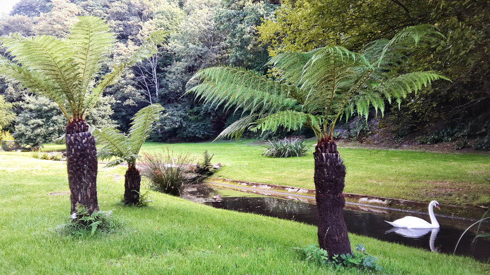 Parc du Château de Chantore