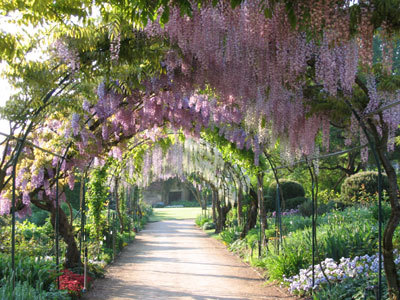 Parc floral d'Apremont