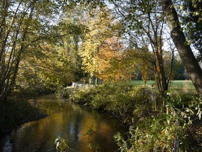 PARC DU MOULIN À TAN