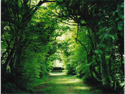 JARDIN DU CHÂTEAU DE COUELLAN