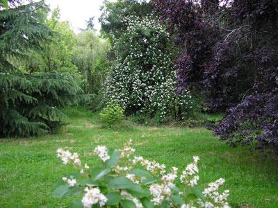 Au jardin de Montfleuri