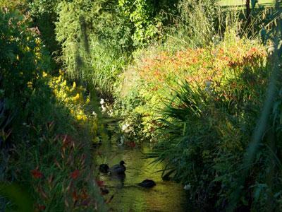 Jardin Flore et Sens