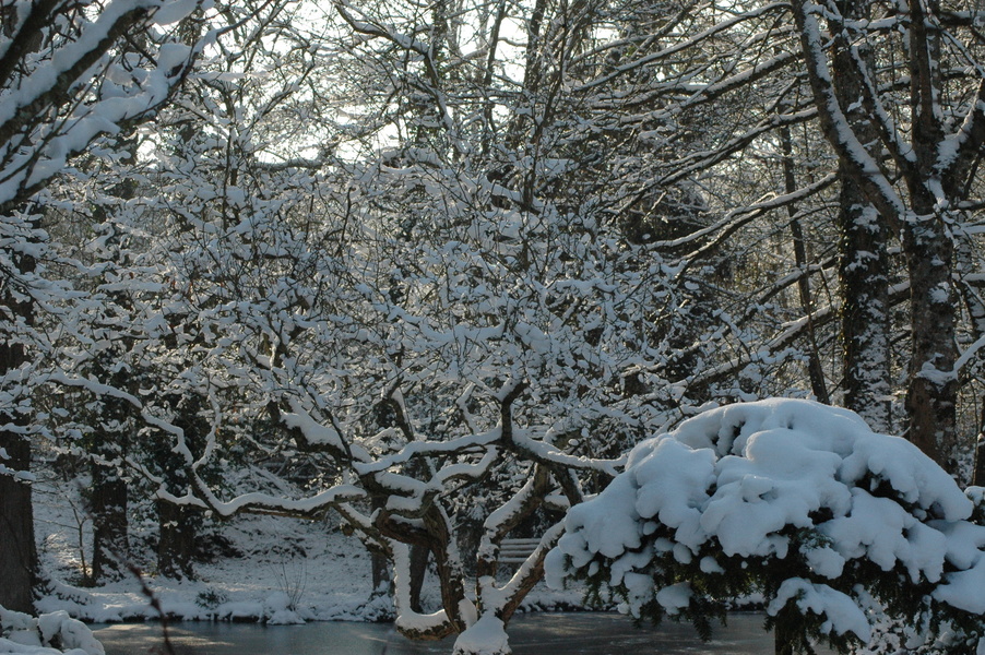 Jardin Des MetamorphOZes