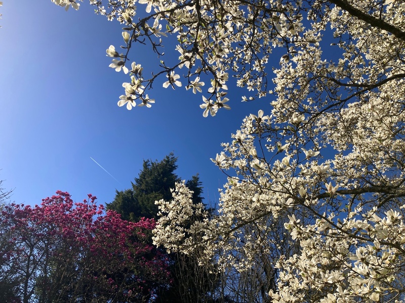 LE CLOS de CHANCHORE- Jardin Botanique