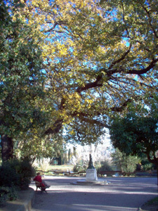 PARC OLBIUS RIQUIER