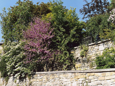 JARDIN DE M. ET MME LEMOINE