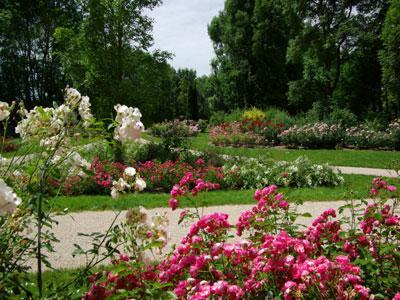 PARC DU MOULIN À TAN