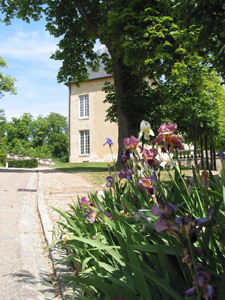 PARC ET JARDINS DU CHÂTEAU D'AUVERS-SUR-OISE