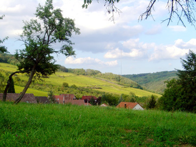 JARDINS DES DOUVES