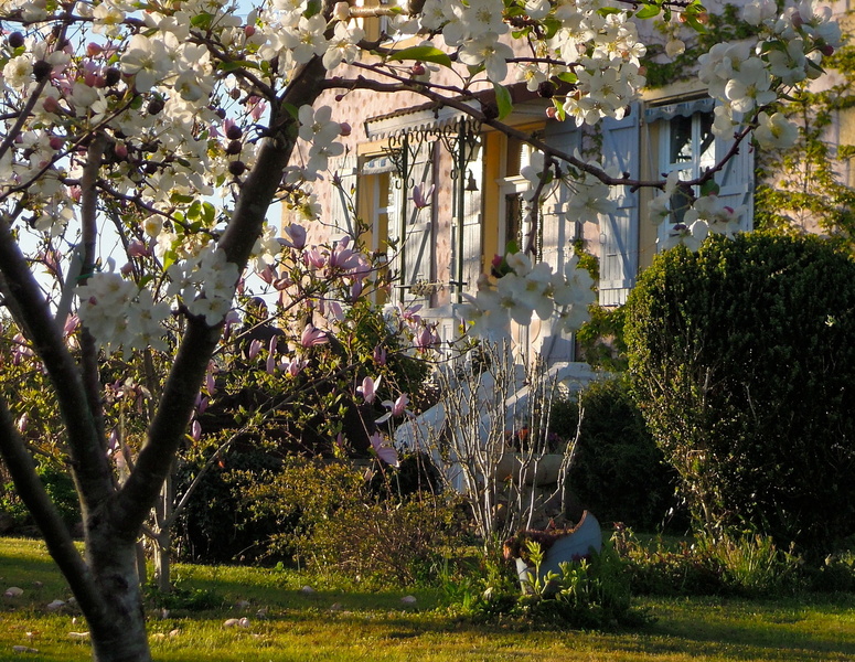 Jardin de Sculptures Marcigny