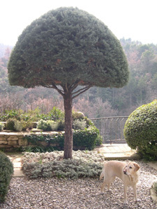 Jardin de La LOUVE