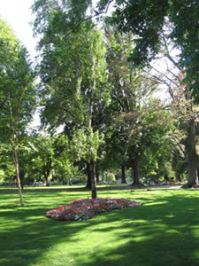 JARDIN DES PLANTES