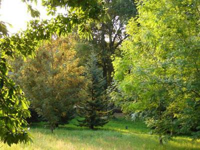 ARBORETUM DU CHATEAU DE NEUVIC D'USSEL