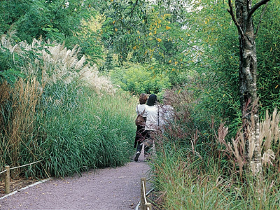 PARC ZOOLOGIQUE DE CHAMPRÉPUS