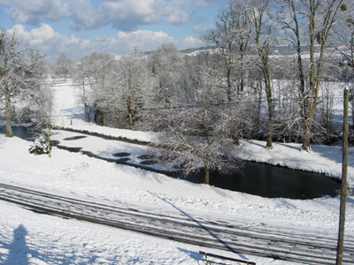 PARC ET ROSERAIE DU CHÂTEAU D'EU