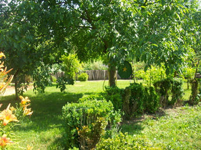 JARDIN SENSORIEL DU SITE DU NEUHOF