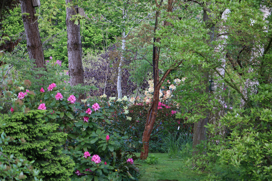 Reflets de Jardin