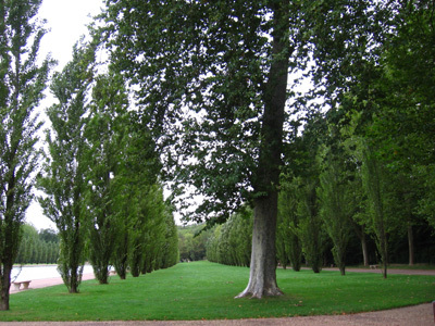 PARC DU DOMAINE DE SCEAUX