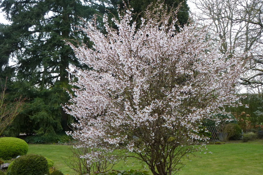 LES JARDINS DE LA MANSONIÈRE