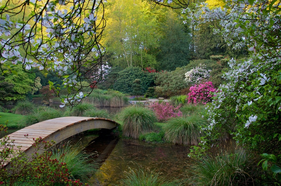 PARC BOTANIQUE DE HAUTE BRETAGNE