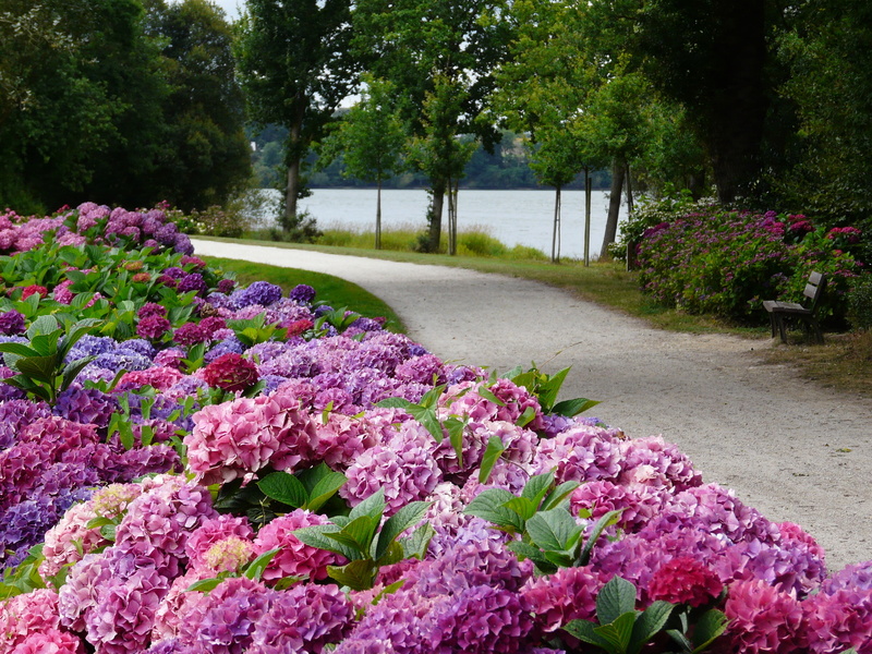 Etiquette à Boucle jardin - Botanique éditions