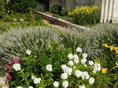 LES JARDINS DE L'ABBAYE SAINT-GEORGES