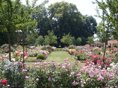 PARC ET ROSERAIE DU CHATEAU DE RAMBURES