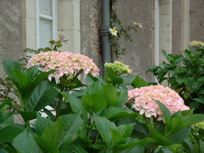 DOMAINE DU CLOSEL CHÂTEAU DES VAULTS