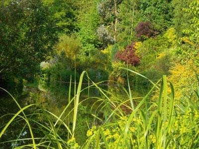 Jardin Flore et Sens