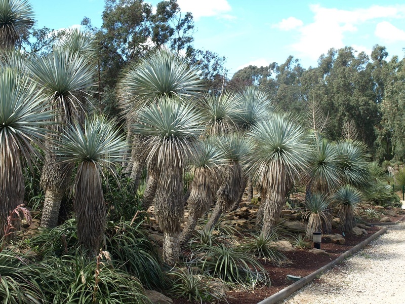 Jardin Zoologique tropical