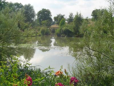 Jardin d'eau de l'Aubépré