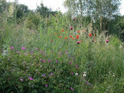 Le Jardin du Naturaliste