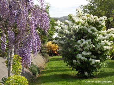 Le jardin de Danyland